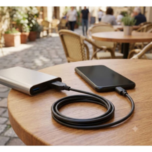Câble USB C ESSENTIELB Câble vers USB 2M Noir compatible iPhone 17 16 15 Pro Max, Samsung Galaxy S25 S24 Ultra