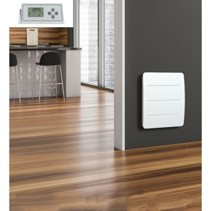 Radiateur inertie en Fonte+Film 1000w