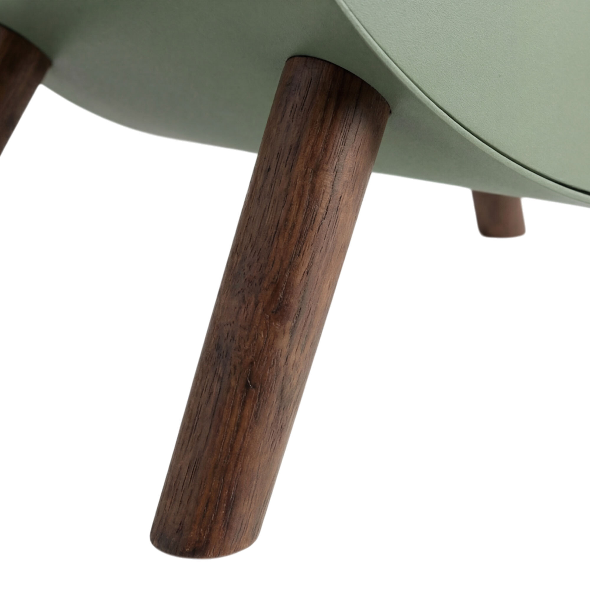 Venere - Camino a Bioetanolo da Pavimento 60x72x30 cm con Bruciatore 1 Litro e Piedi in Legno di Pino Salvia