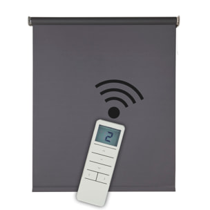 Estor motorizado BLACKOUT PRO Gris