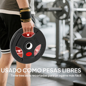Discos Pesas Olímpicas, Agujero Ø50 mm, 2 Discos de Pesas 10 kg con Anillo Interior de Acero y Triple Agarre, para Mancuernas y Barras, Entrenamiento Fitness en Casa, Gimnasio, Negro