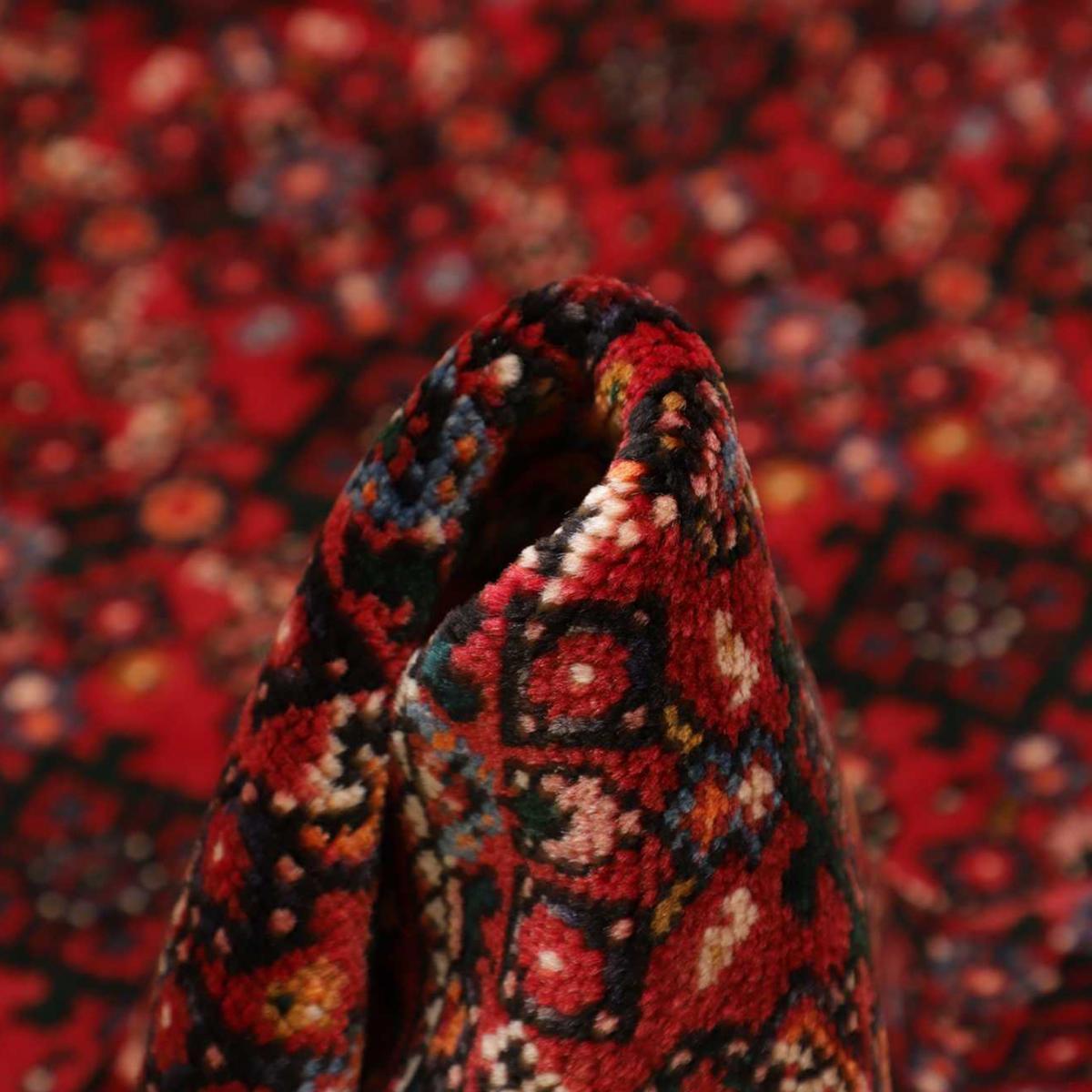 Tapis d'orient, motif traditionnel noué à la main, FIJARUF