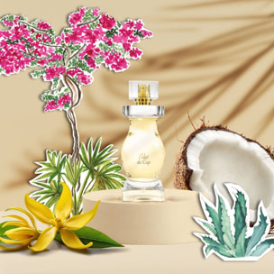 Éclat du Cap - Eau de Parfum 100 ml