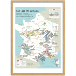 Affiche - Carte des vins de France - Frog Posters