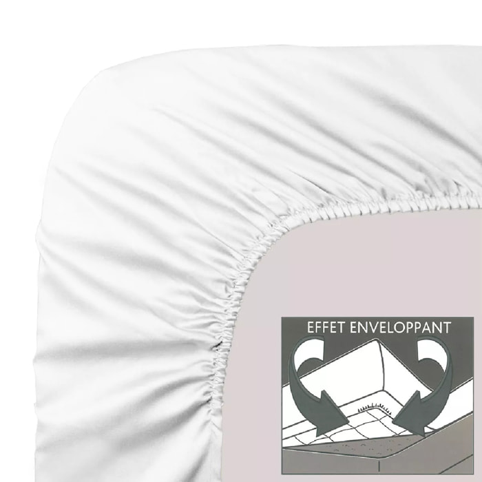 Protege matelas b40 pur coton 230 g/m² molleton blanc Molleton blanc