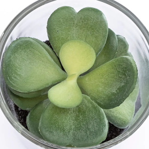 Plante artificielle "Message" - pot en verre - H8 cm