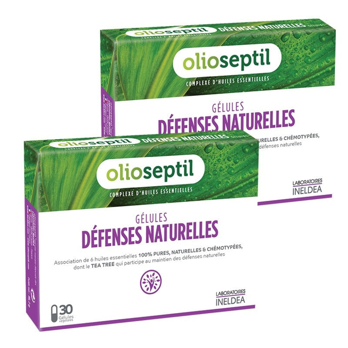 OLIOSEPTIL - Défenses Naturelles - Association de 6 Huiles Essentielles Pures et Chémotypées en Gélules Végétales L-Vcaps® - Dès 15 Ans - Aide à soutenir les défenses naturelles - Lot de 2 produits