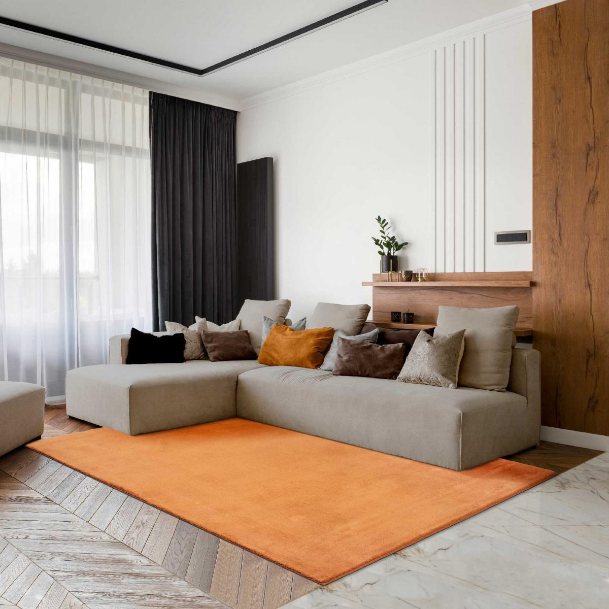 Tapis salon MITA, soft et soyeux, tapis uni à l'aspect Shaggy