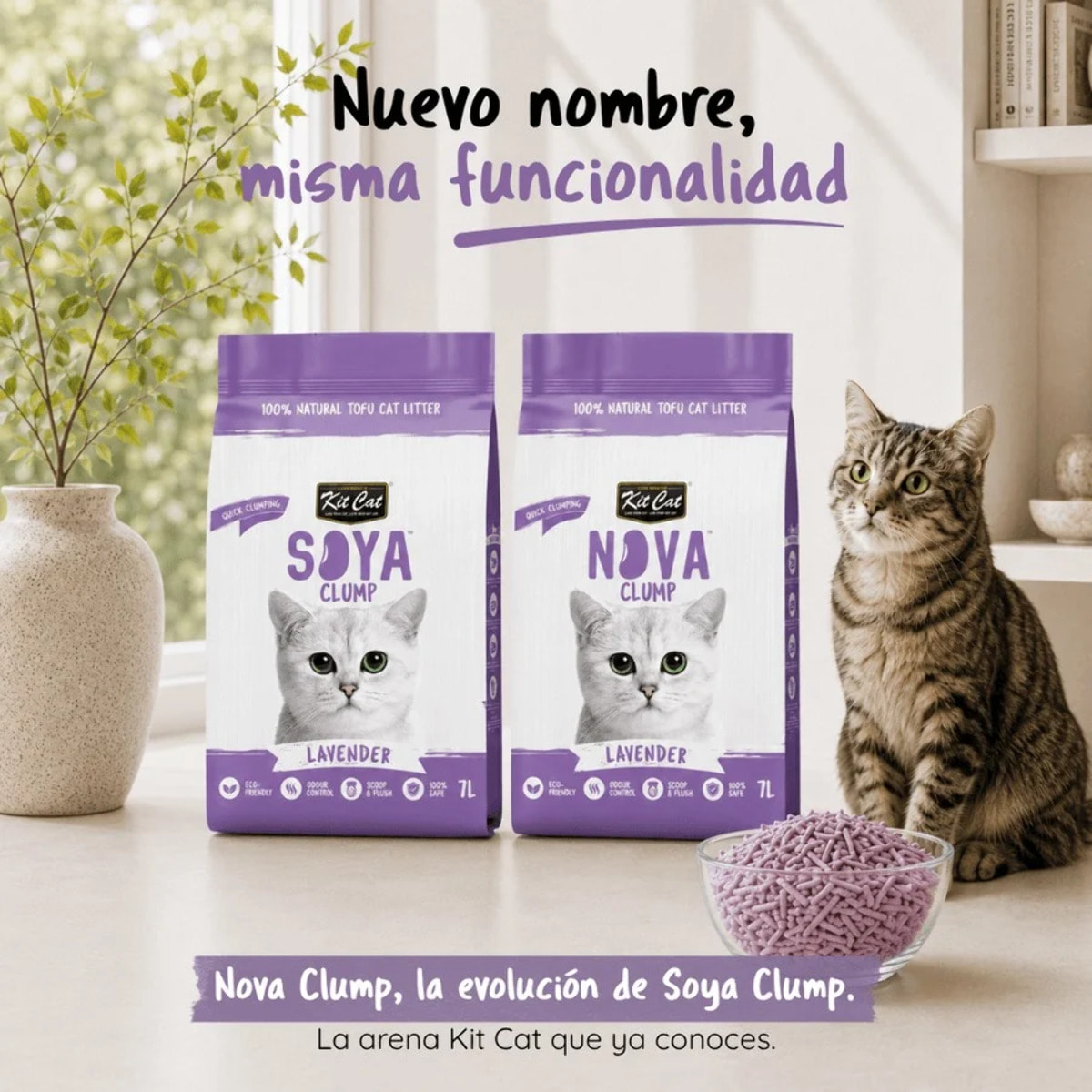 Pack 6 Kit Cat Arena Eco Nova - Lavender 7 L Arena para gatos