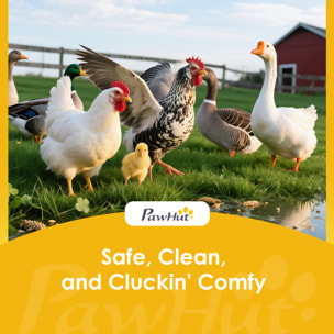 Poulailler en bois sur pieds toit et pondoir bitumés noir blanc gris