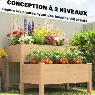 Carré potager bois en escalier sur pieds 2 niv. 2 étagères