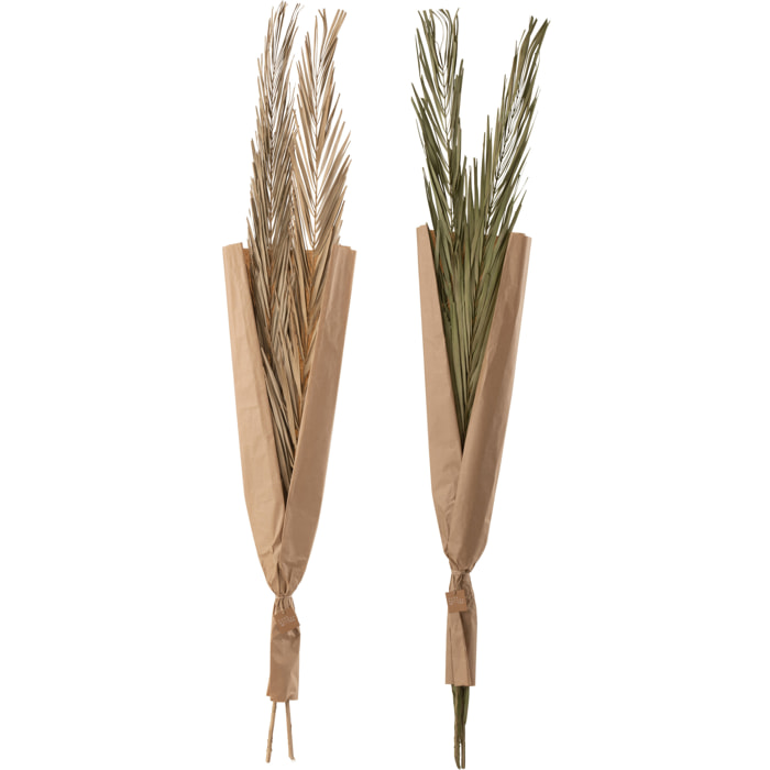 J-Line fleur séchée Feuilles Khajur - vert - 2 pcs