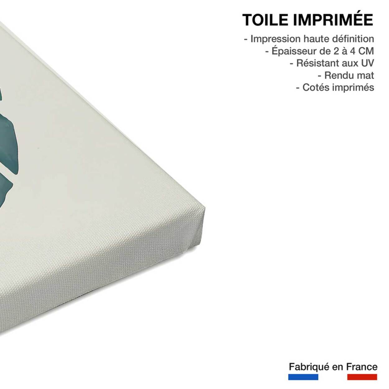 Tableau Monstera turquoise Toile imprimée