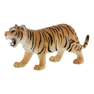 Safari/Tigre