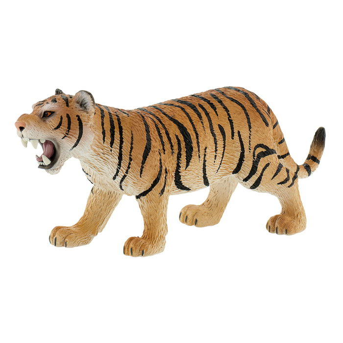 Safari/Tigre