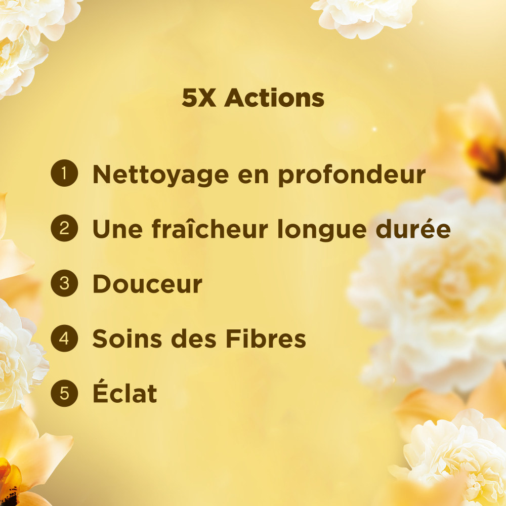 4x19 Pods Tout-en-1 Ambre Et Orchidée, Lessive en Capsules Dash