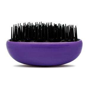 Spazzole Egg Brush Nero E Viola