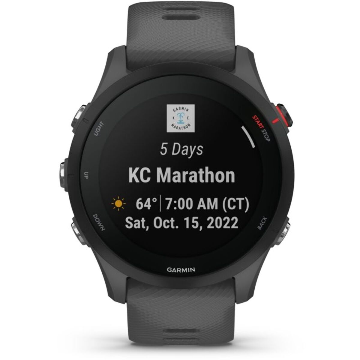 Montre sport GARMIN Forerunner 255 Gray
