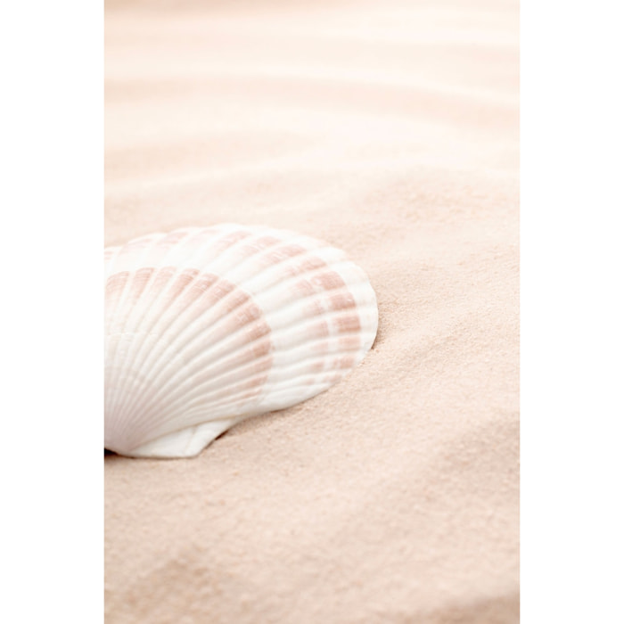 Tableau coquillage Tableau plexiglas
