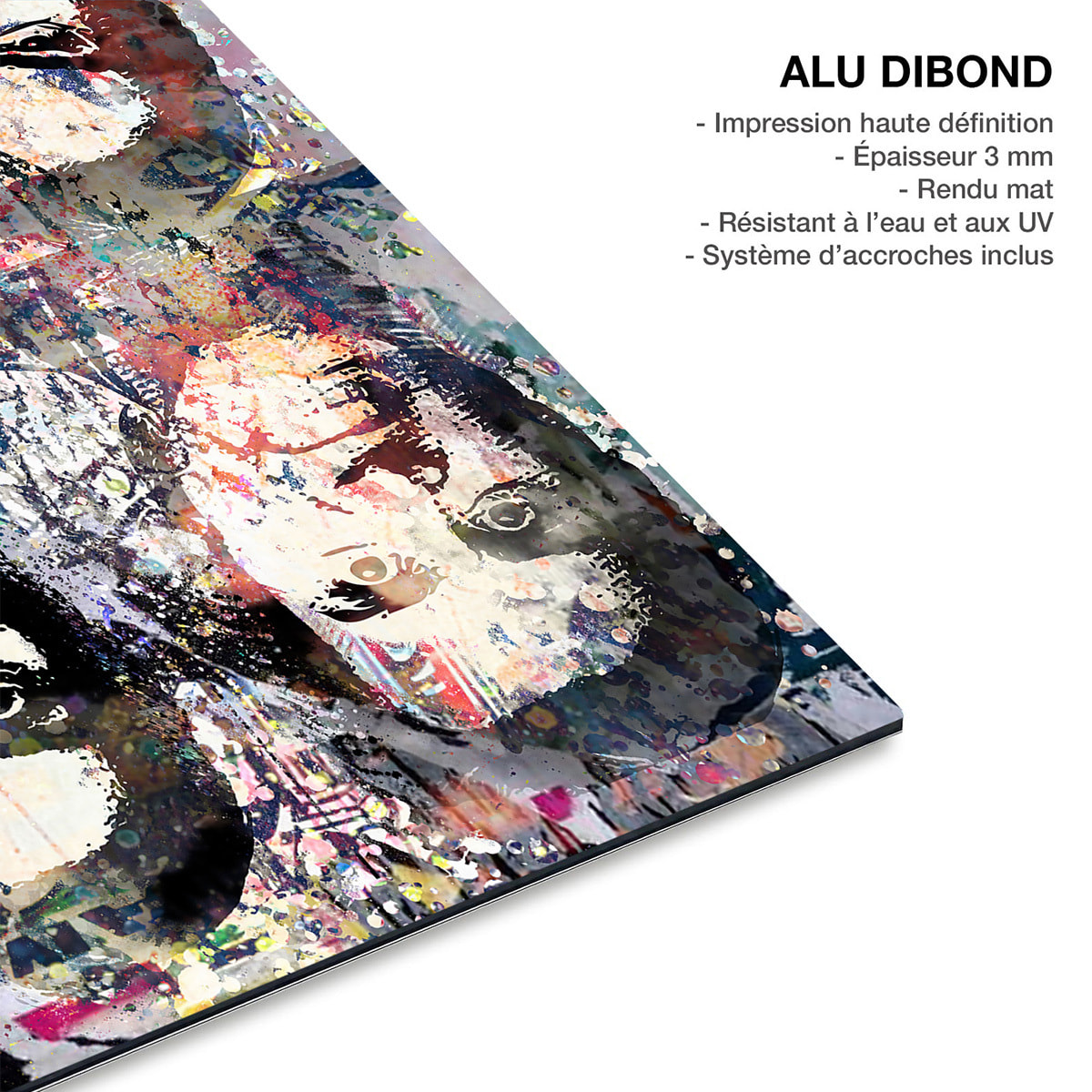Tableau art tableau Jim carrey the mask Tableau alu Dibond