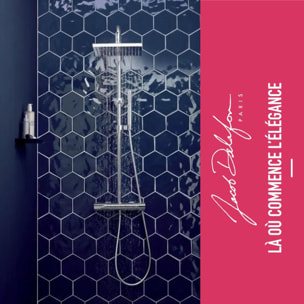 Receveur Ipso + paroi coulissante niche + colonne douche Brigitte