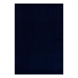 Tapis salon et chambre tissé motif uni PAJU