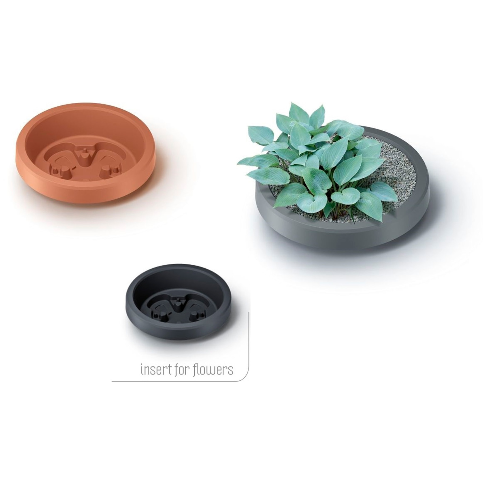 Barril de agua de lluvia 240l maze de plastico en color antracita 59,3 (largo) x 59,3 (ancho) x 111 (altura) cm