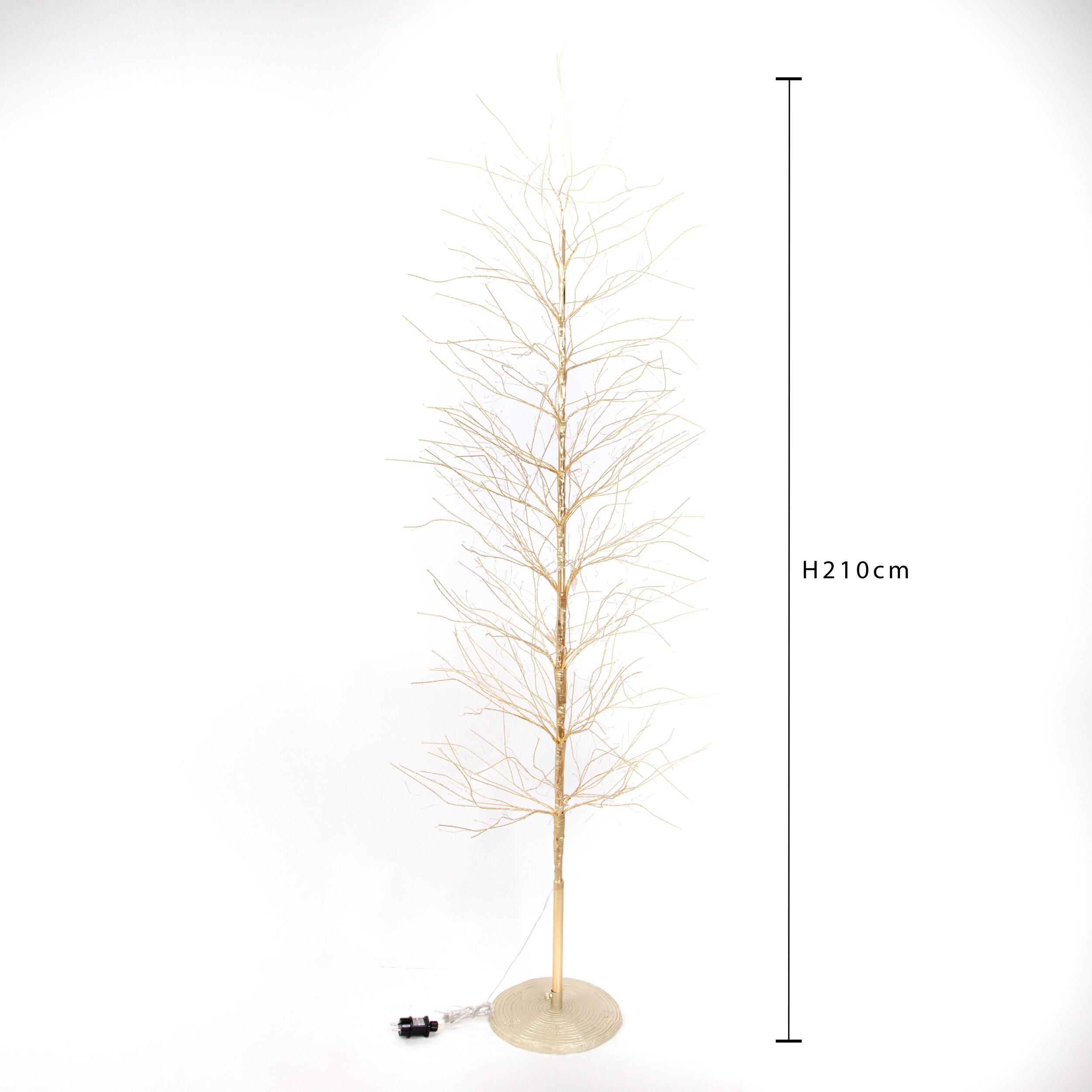 Faggio - Pezzi 1 - 30xH210x30cm - Bianchi Dino SpA