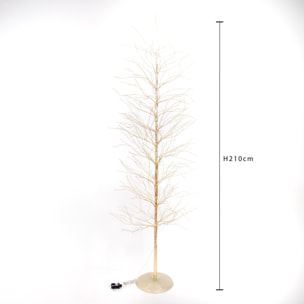 Faggio - Pezzi 1 - 30xH210x30cm - Bianchi Dino SpA