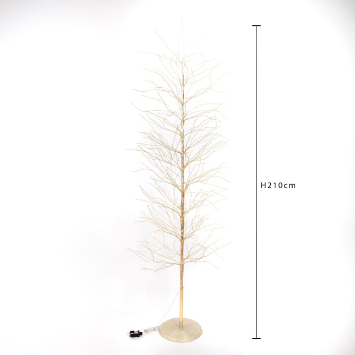 Faggio - Pezzi 1 - 30xH210x30cm - Bianchi Dino SpA