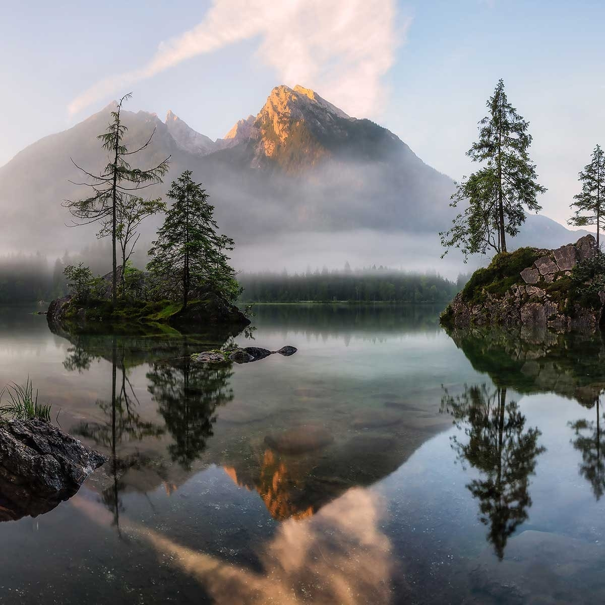 Tableau nature's awakening Tableau plexiglas