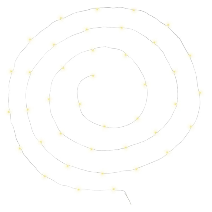 Guirlandes - 40 micro LED - argent et blanc chaud - L400 cm