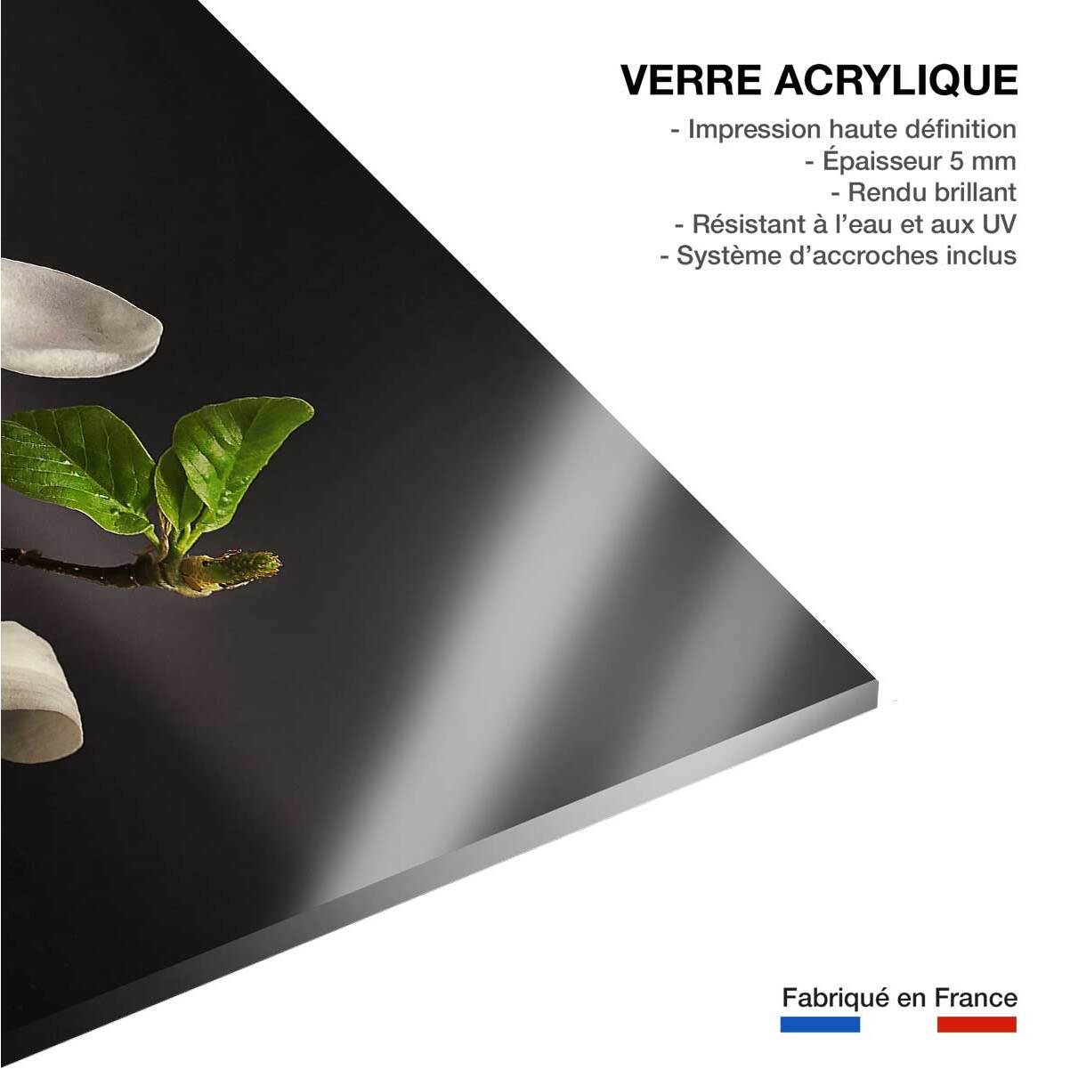 Tableau fleurs magnolia  Tableau plexiglas