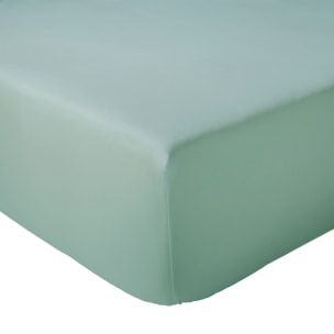Drap-housse percale de coton uni bonnet 30 cm - Turquoise
