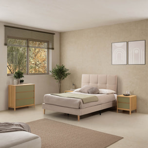 Mesita de noche Nassau 2 cajones efecto Roble/Verde