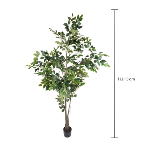 Ficus con Vaso H.213 Cm - Pezzi 1 - 213X66X66cm - Colore: Verde - Bianchi Dino - Piante Artificiali