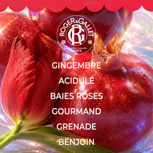 Gingembre Rouge - Coffret Eau Parfumée Bienfaisante 100 ml + Lait Corps Bienfaisant 250 ml