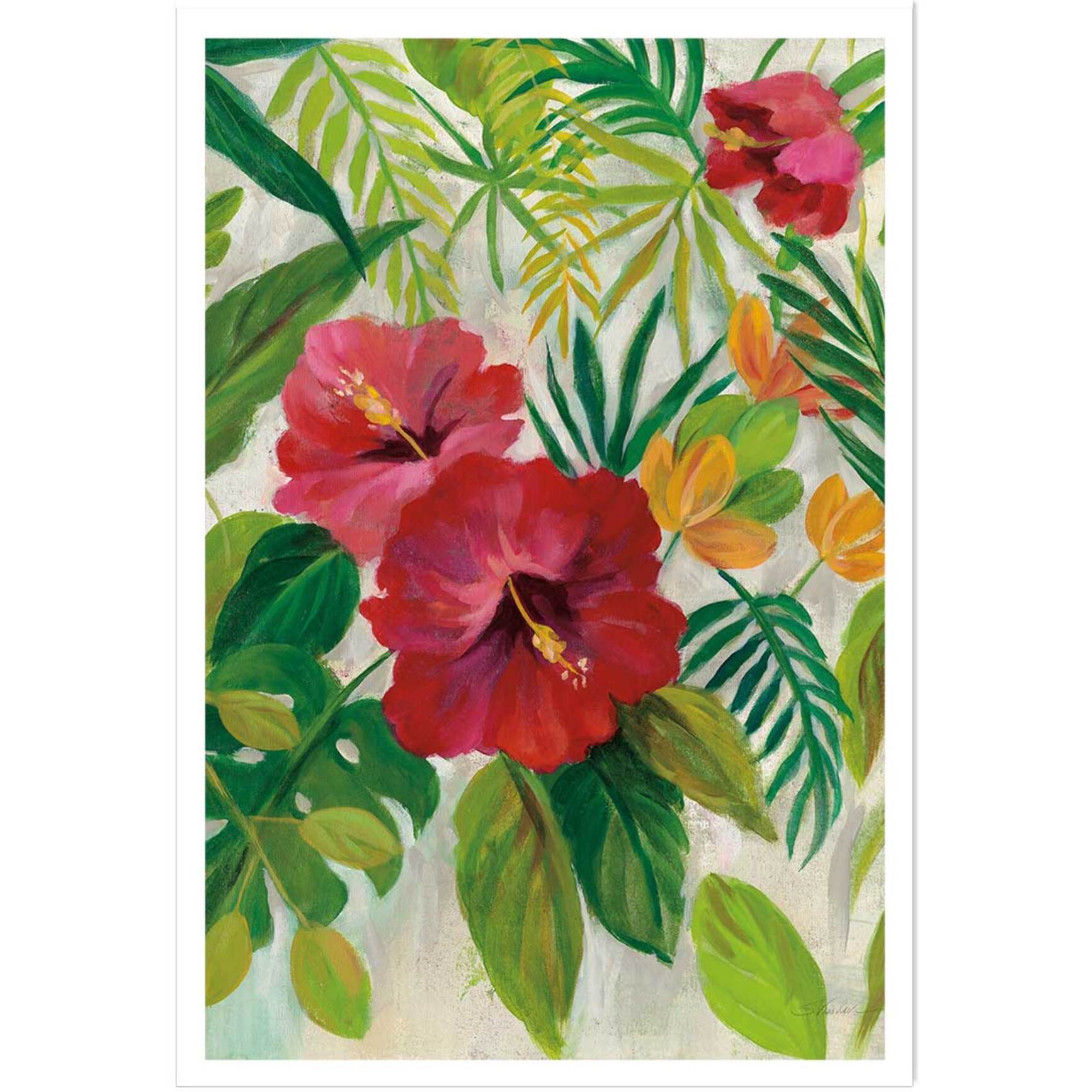 Poster Hibiscus des tropiques Affiche seule