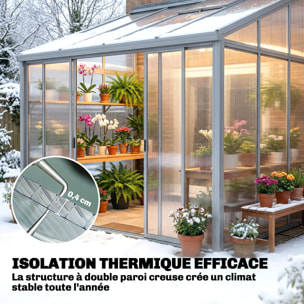 Lot de 10 panneaux polycarbonate alvéolaire 4 mm transparent dim. 120L x 60l cm