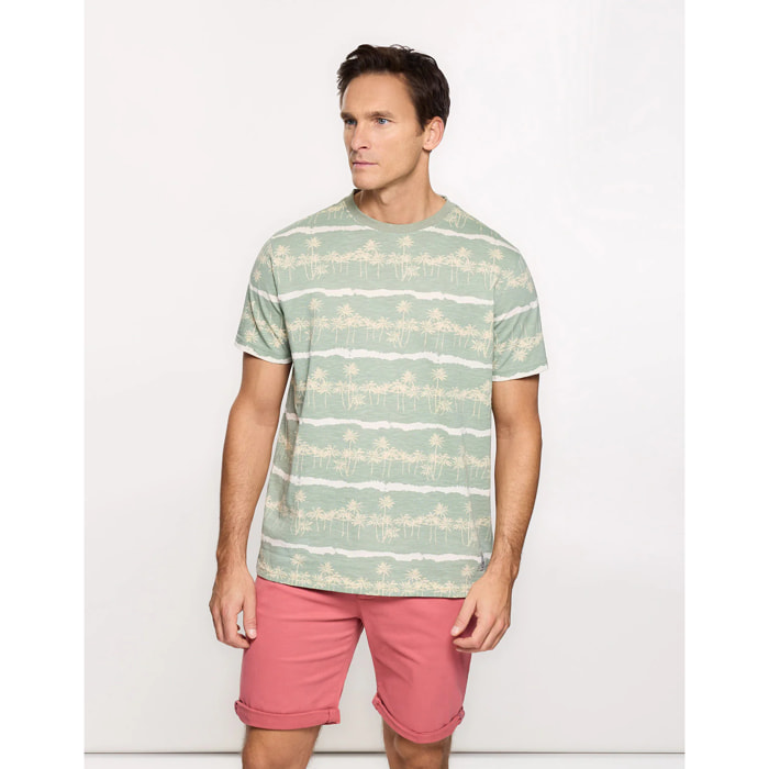 Camiseta Manga Corta Verde - Palmocean