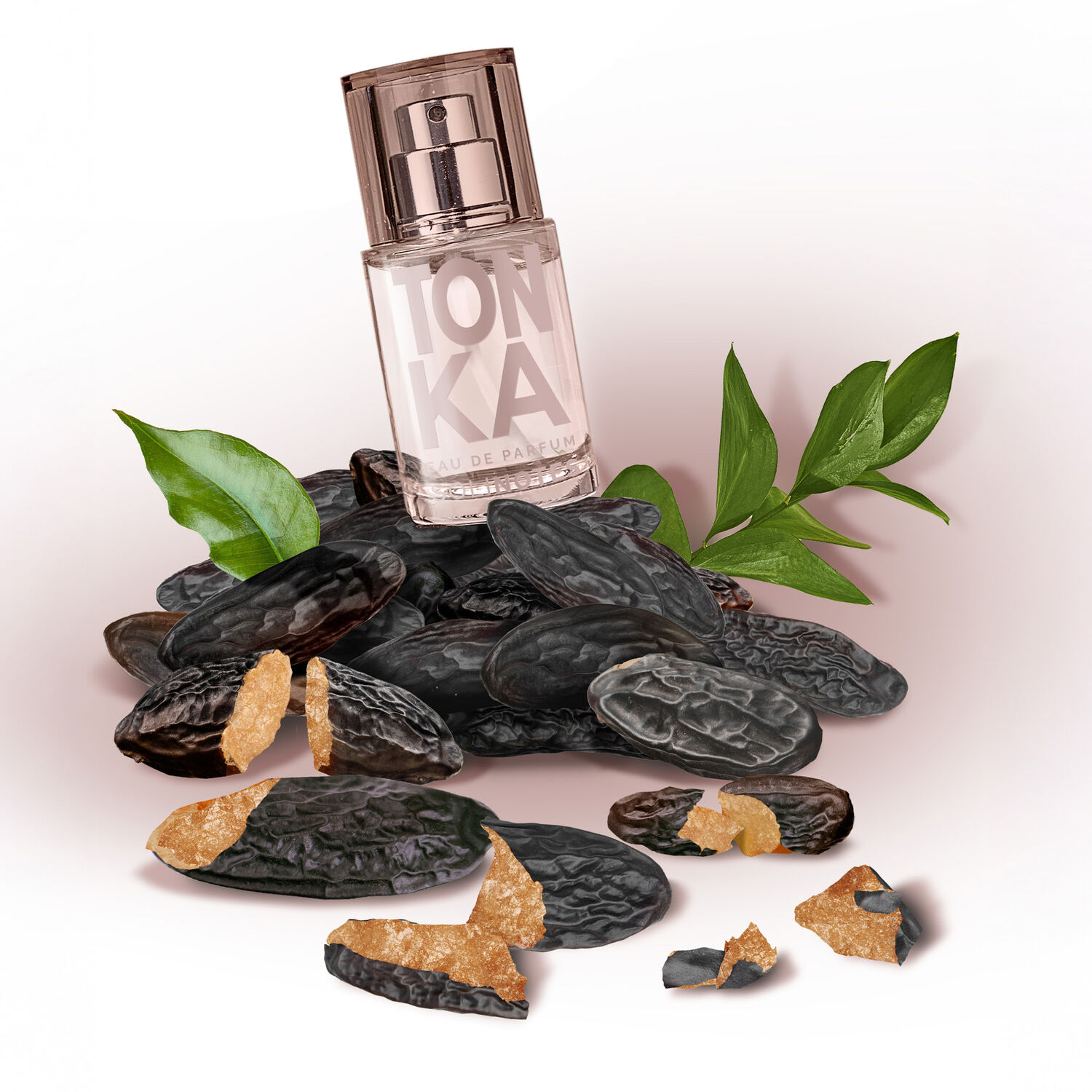 Tonka - Eau de Parfum