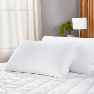 Funda de Almohada | Dermoportectora Aloe Vera | Antialérgica | Impermeable | Ideal para pieles sensibles