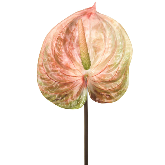 Fiore Di Anthurium. Altezza 70Cm - Pezzi 6 - 15X70X5cm - Colore: Verde - Bianchi Dino - Fiori Artificiali