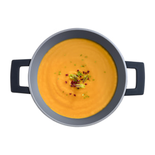 Cacerola Ø28x13cm en Aluminio fundido con tapa apta para inducción INDIGO MasterPRO