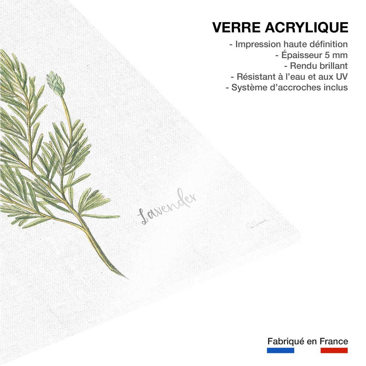 Tableau fleurs Lavande illustrée Tableau plexiglas