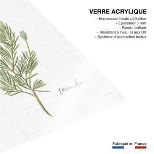 Tableau fleurs Lavande illustrée Tableau plexiglas