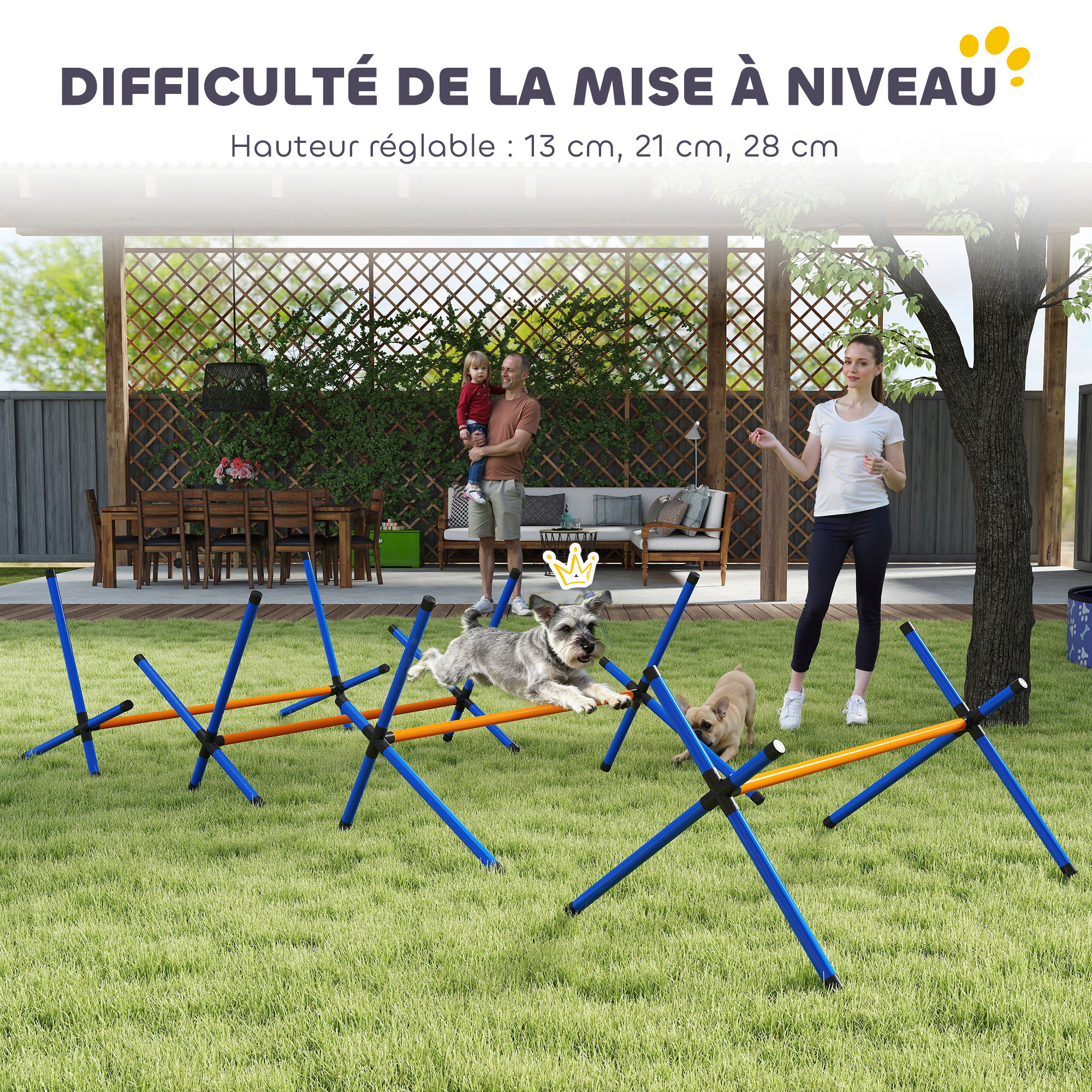 Kit d'agilité chien hauteur réglable sac transport inclus