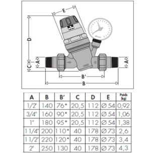 Réducteur de pression 535 1/2' THERMADOR avec RU et manomètre - R53515