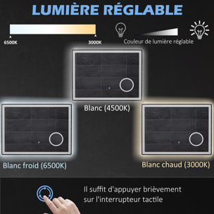 Miroir lumineux LED salle de bain dim. 80L x 60H cm anti-buée grossissant x3 réglable fonction mémoire