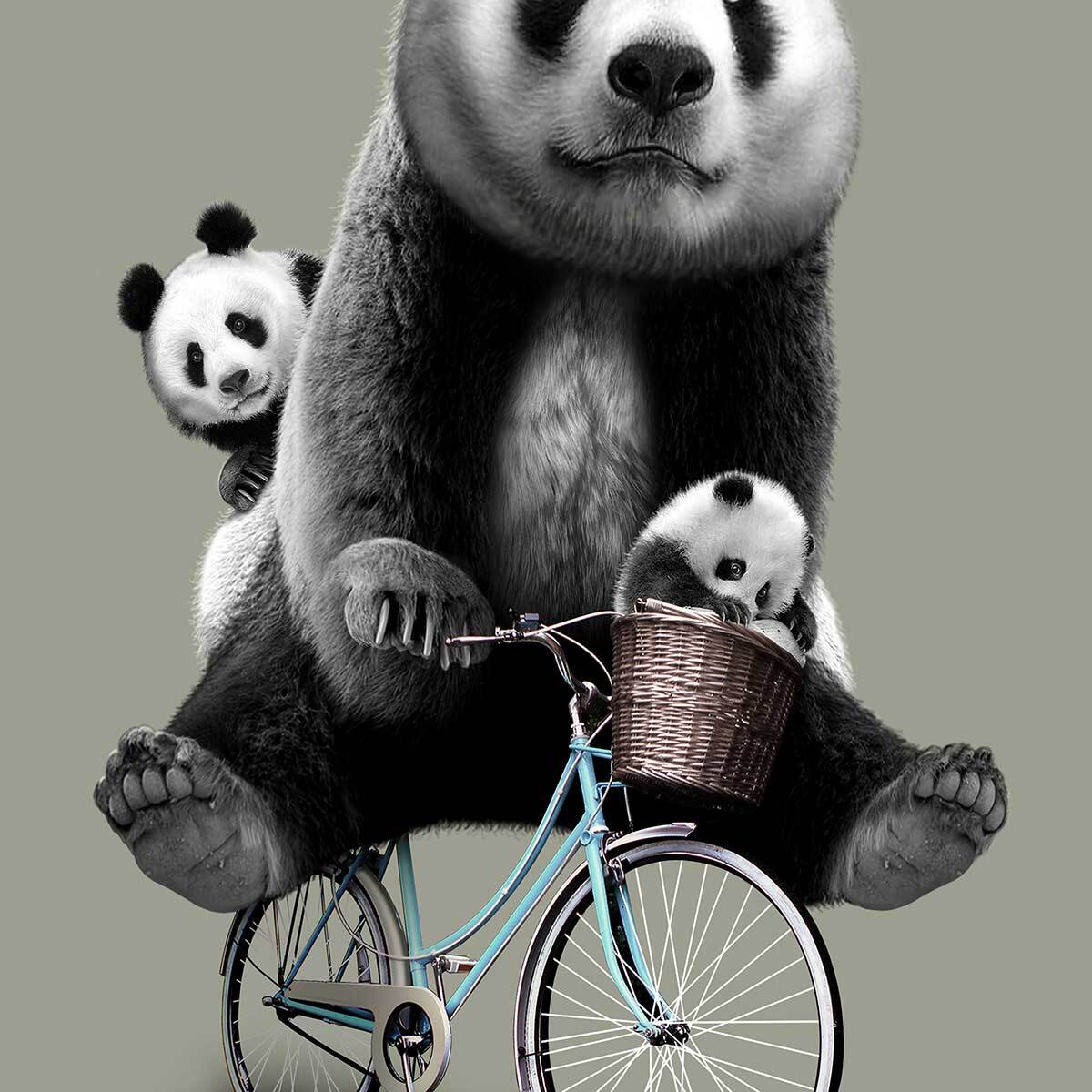 Affiche enfant petang  Affiche + cadre en bois - Chêne